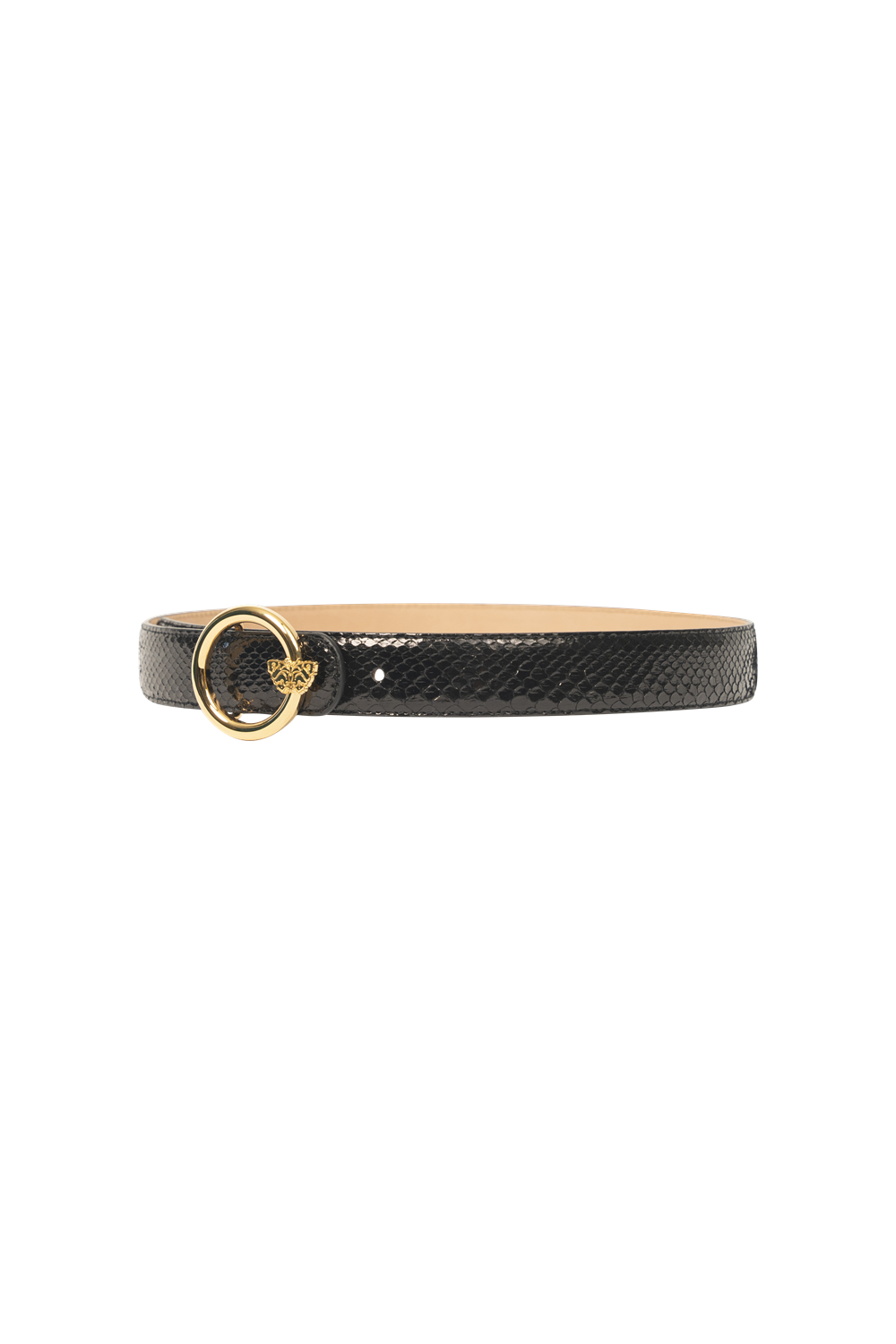 Belt "Circle Fly" in Genuine Python